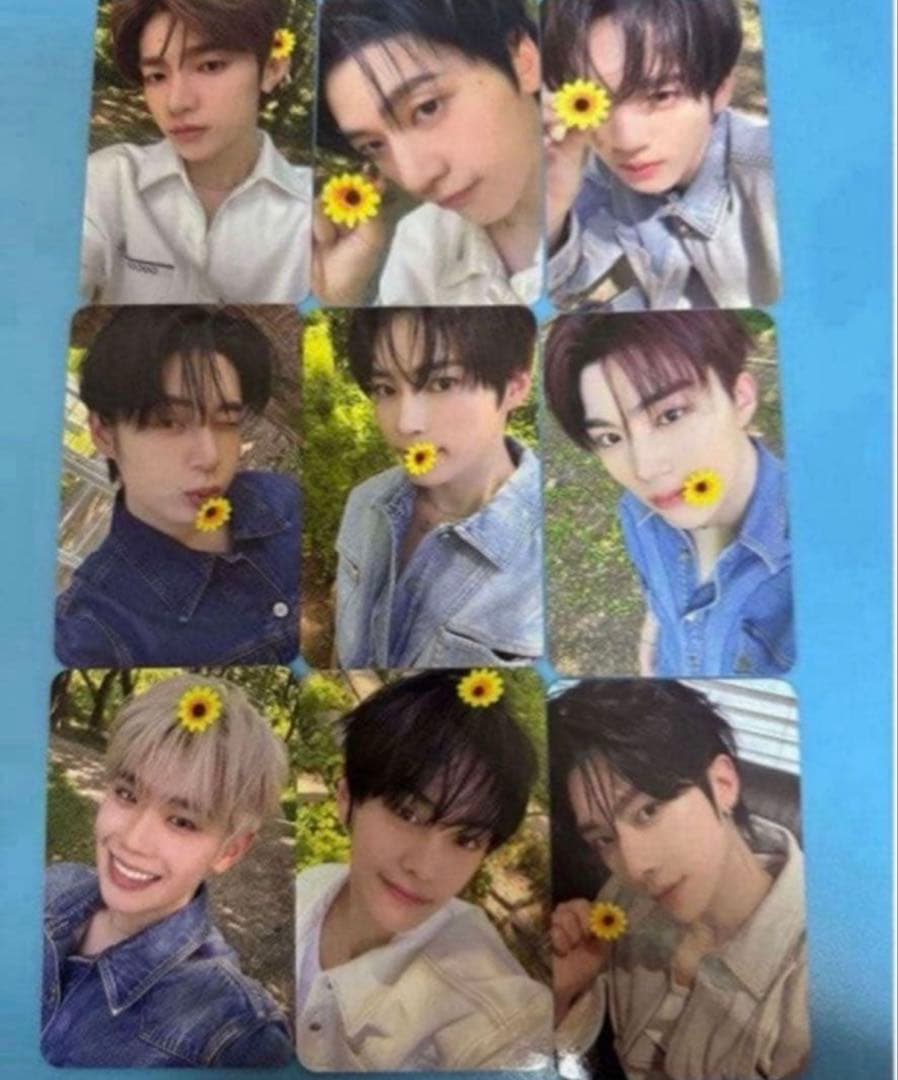 zb1 ヨントン トレカ 全員 - メルカリ