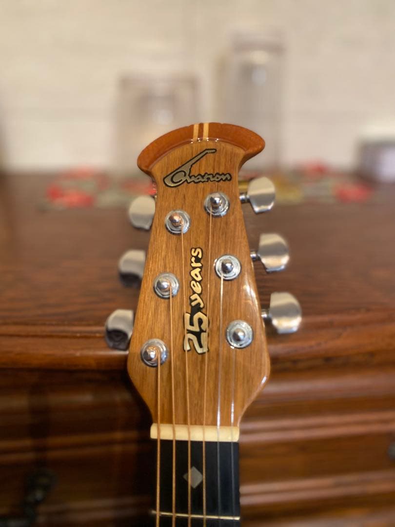 Ovation 1991 Collectors Series / エレアコ