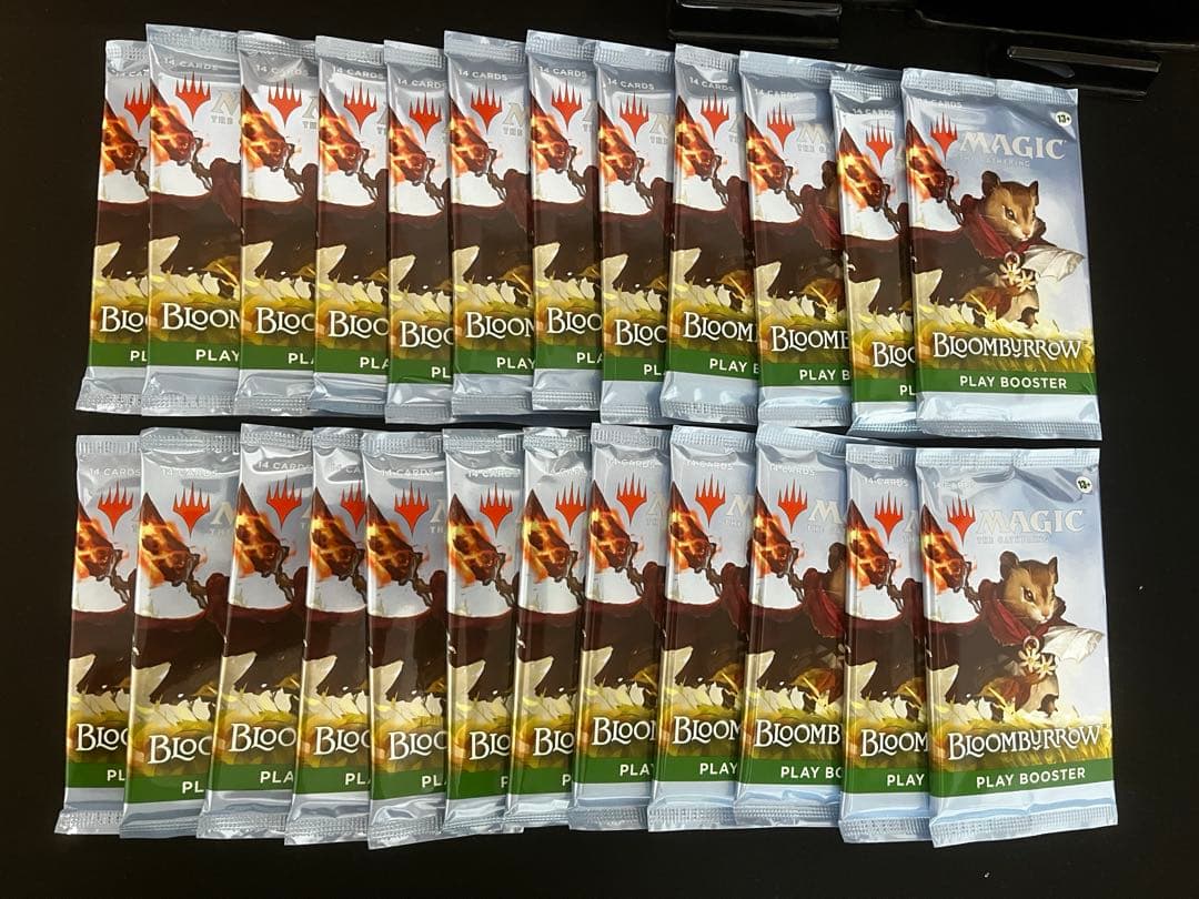 ブルームバロウ　24パック　英語