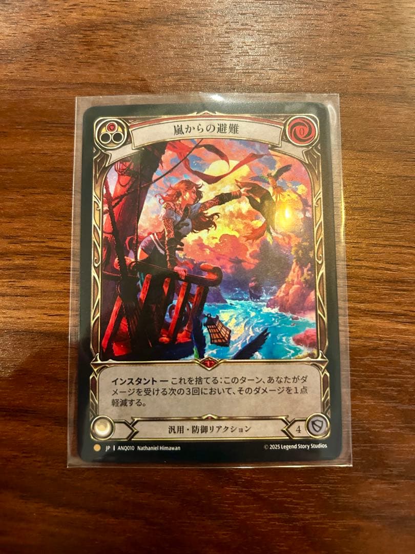 嵐からの避難/Shelter from the Storm ANQ010 RF日