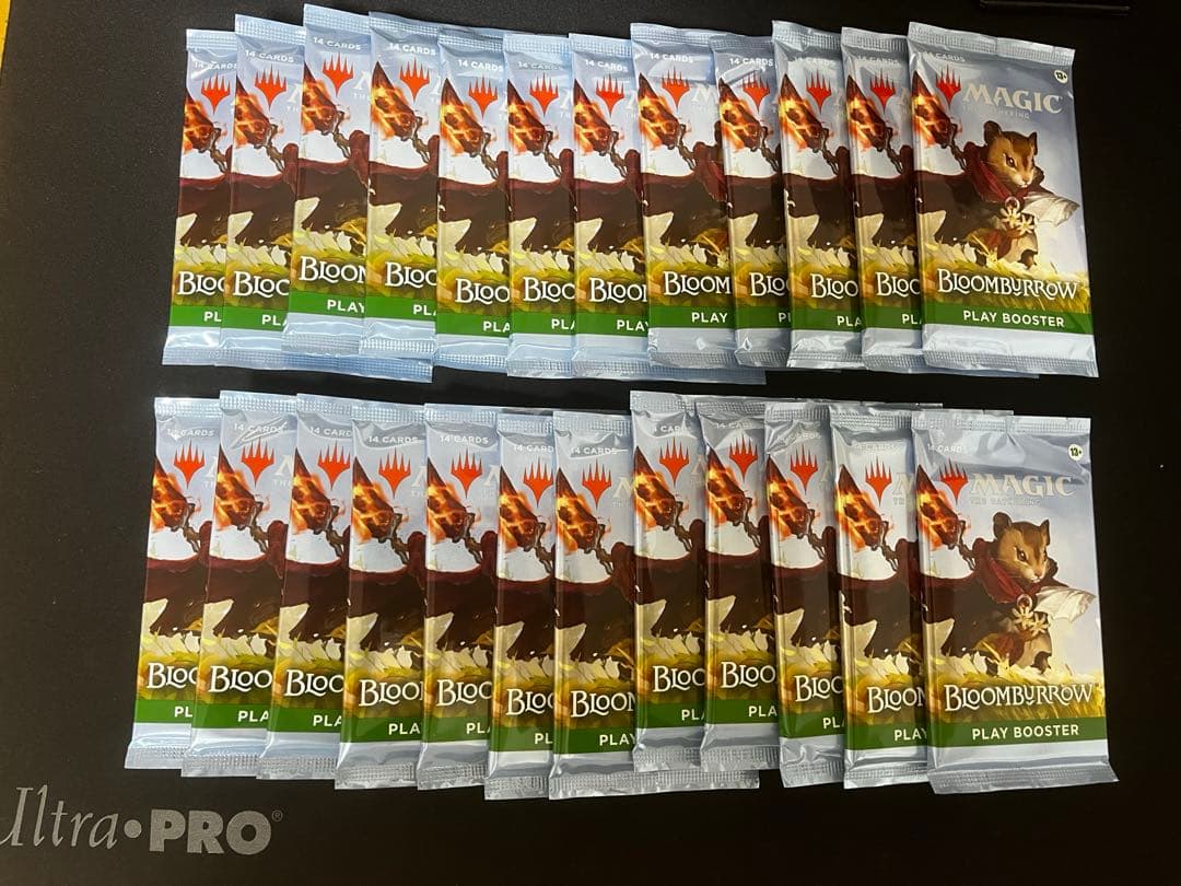 ブルームバロウ　英語　24パック