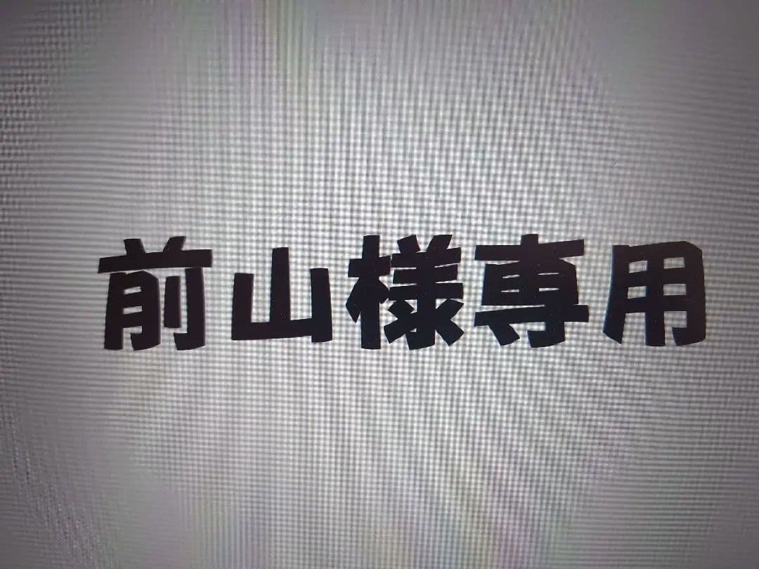 【前山】パピリオPapilioステイブロウ