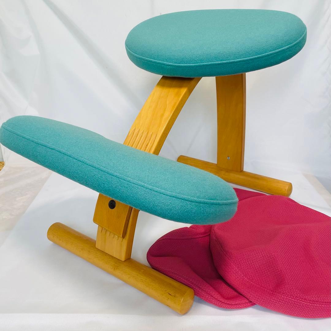 balance EASY Rybo バランスイージー　カバー付き