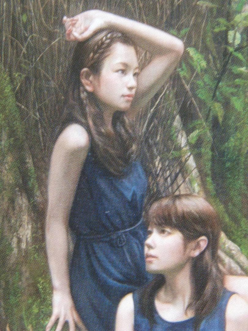 小木曽 誠 「森へ還る」、厳選、希少画集・額装画、人気作品、新品高級