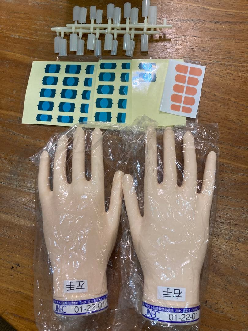 JNEC認定モデルハンド　箱付き　美品