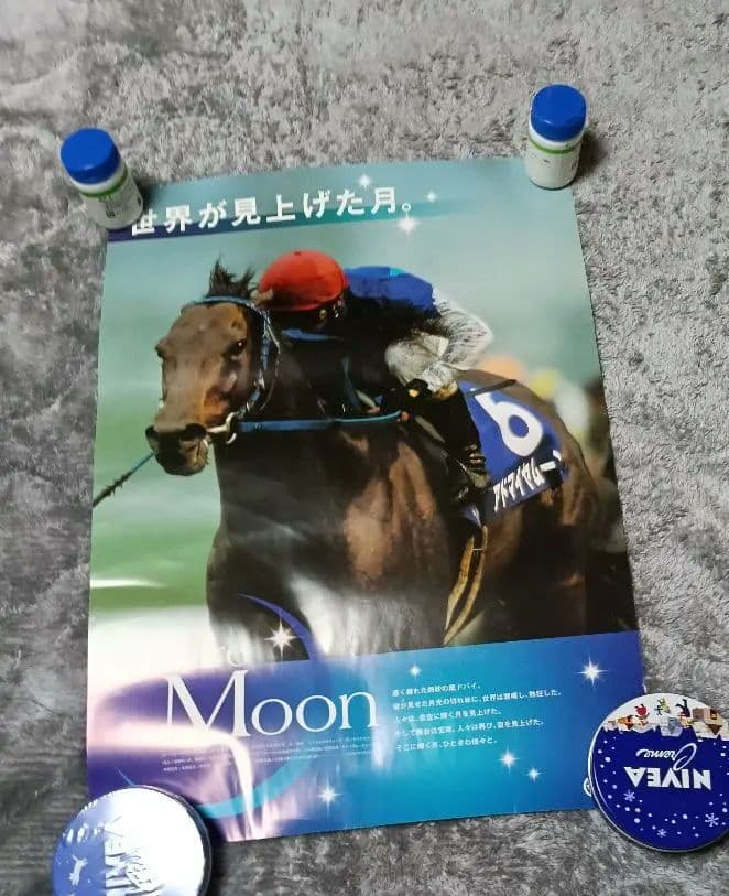 非売品】JRA ヒーロー列伝 B3 ポスター うま娘 ウオッカ - メルカリ