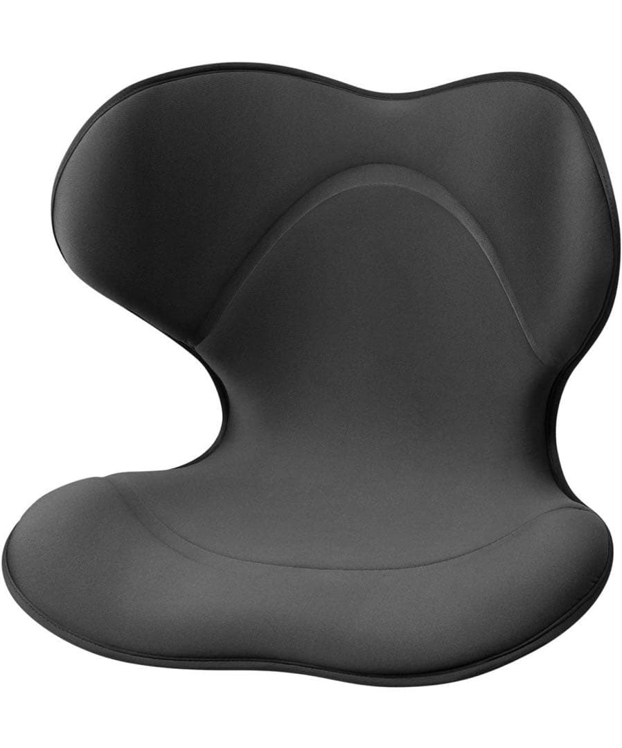 MTG Style Smart スタイルスマート 骨盤サポートチェア ブラック