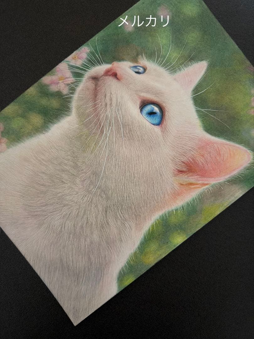 色鉛筆画A4白猫38 - メルカリ