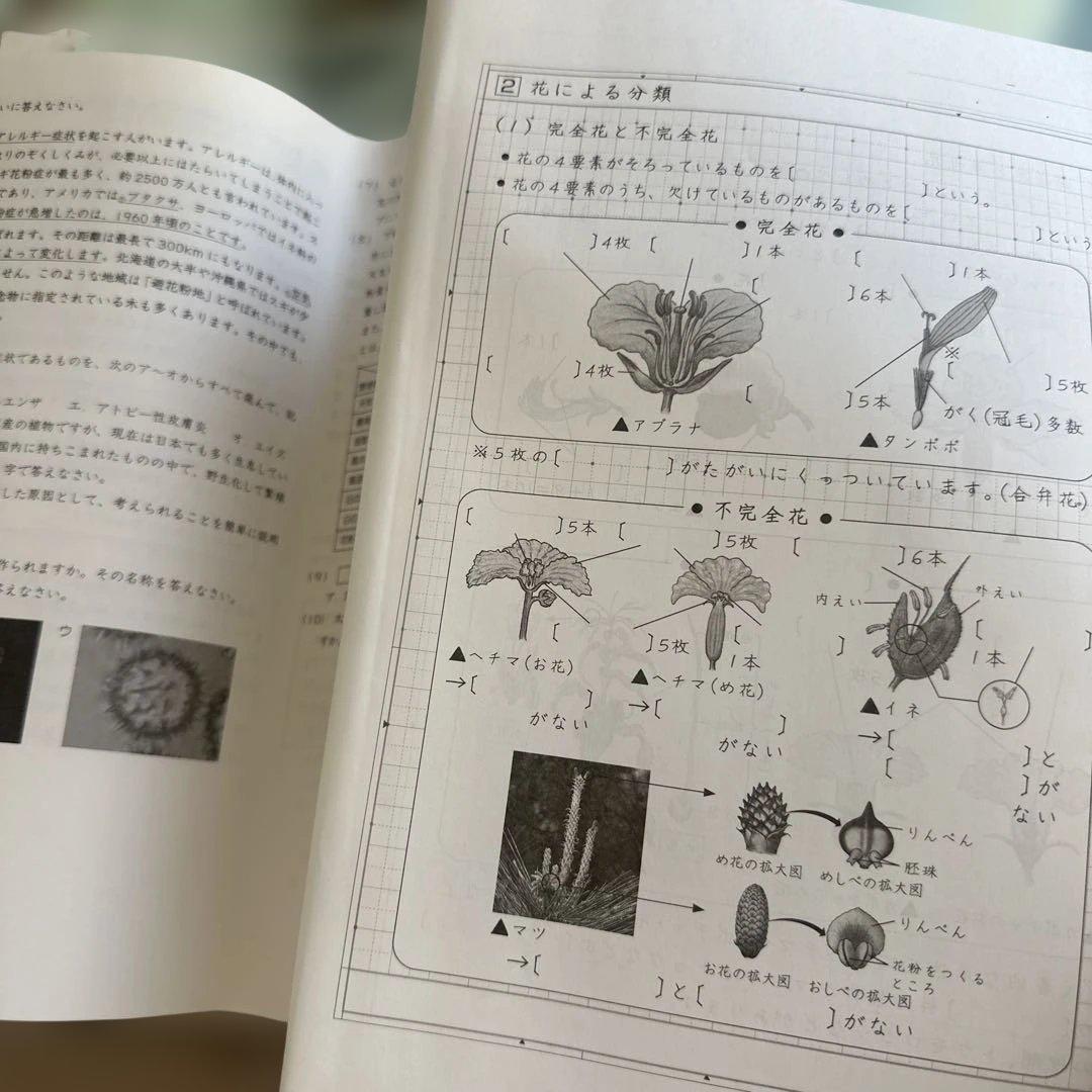 Weekly SapiX 理科 小6 夏期集中2025年 - メルカリ