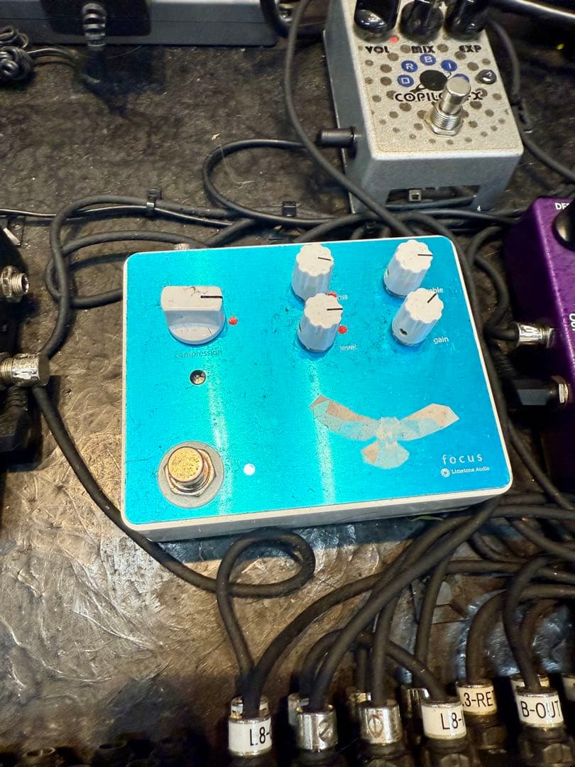 m*i様 FOCUSコンプ！！！ 515oX3vWuBL._AC_UF350,