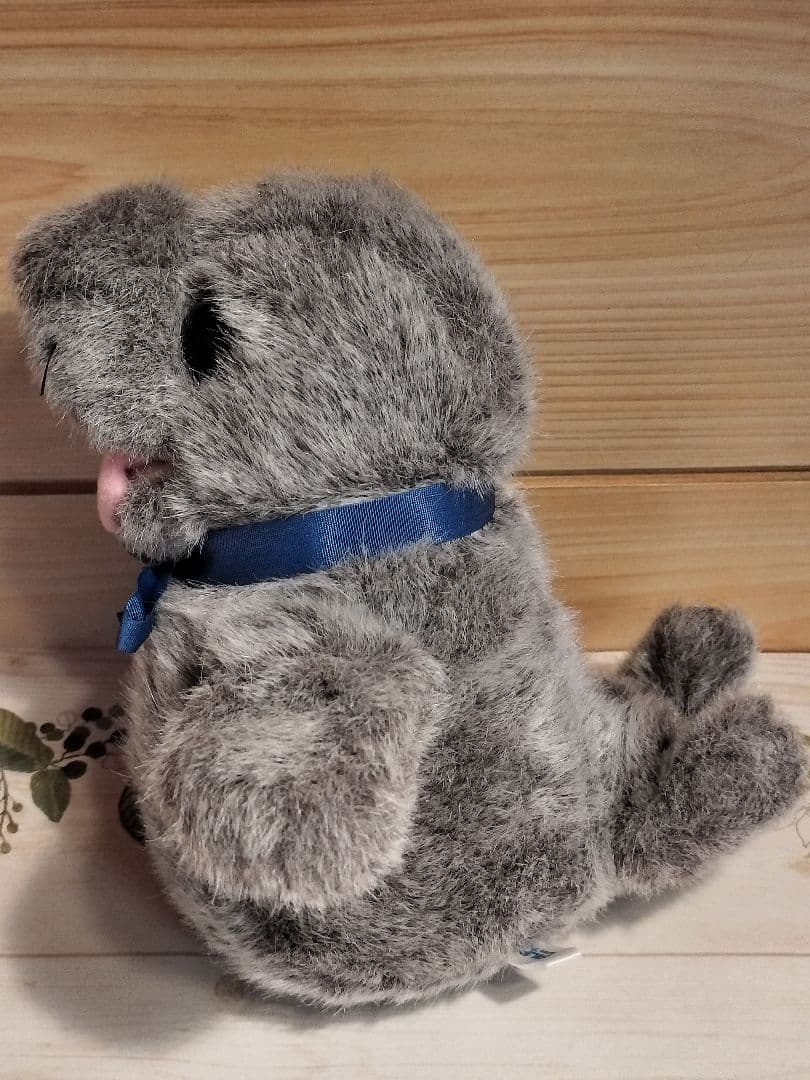 伊勢 三重 ふれあい水族館 あっかんべー ミナミゾウアザラシ