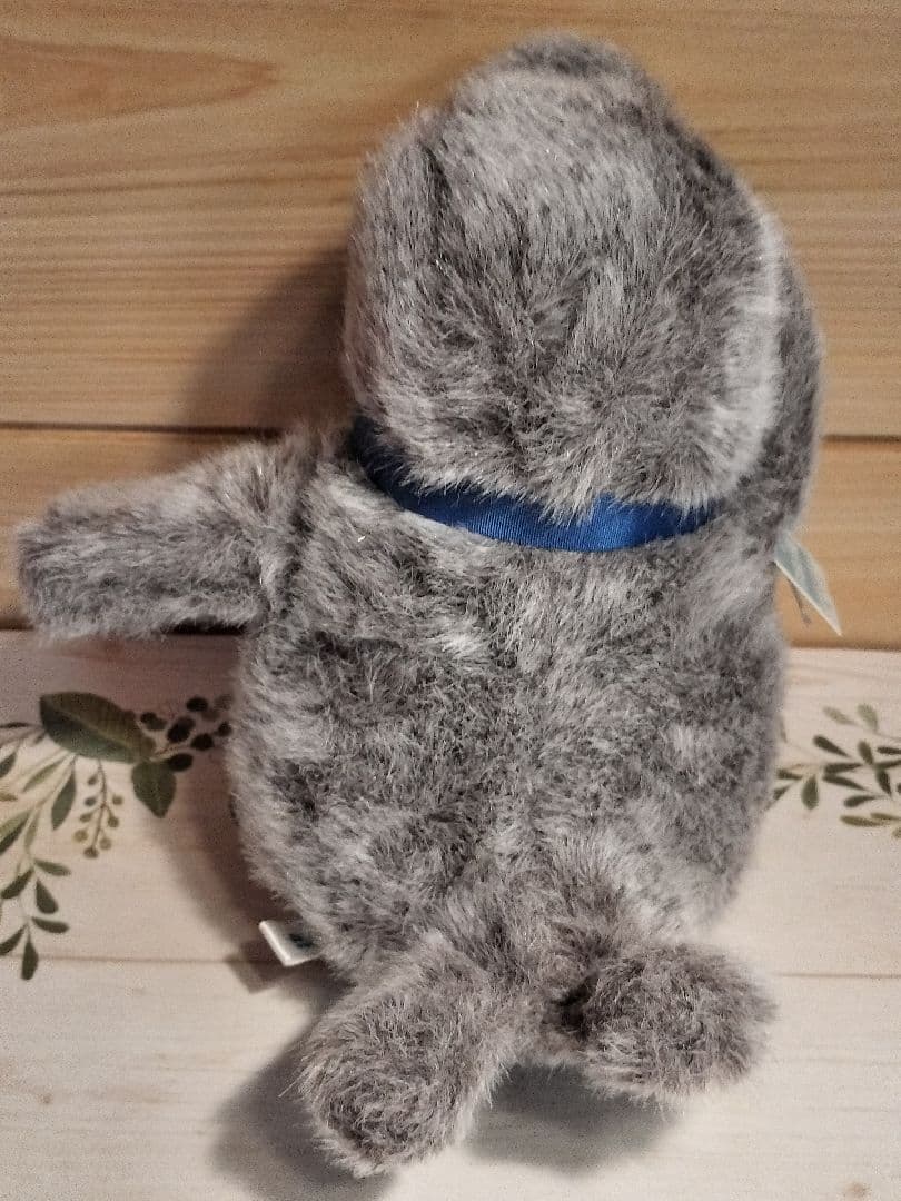 伊勢 三重 ふれあい水族館 あっかんべー ミナミゾウアザラシ