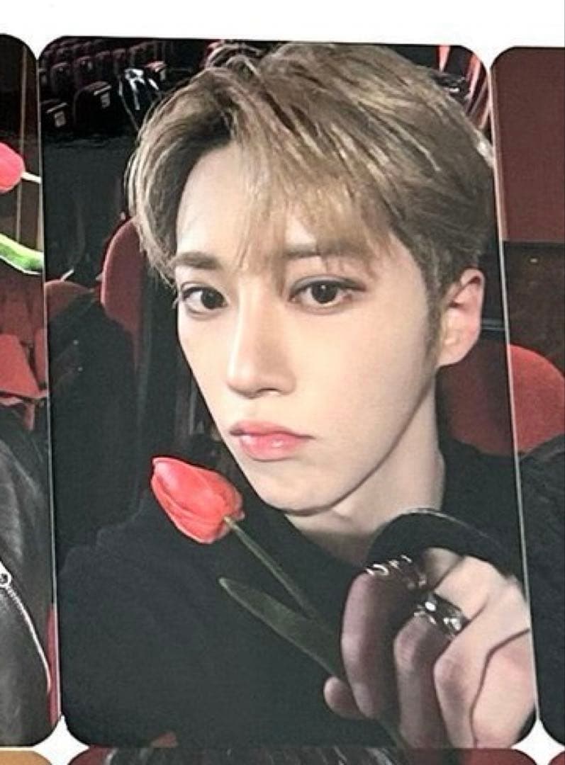 ALD1 人気歌謡　サノク　トレカ　チューリップ　ジアハオ