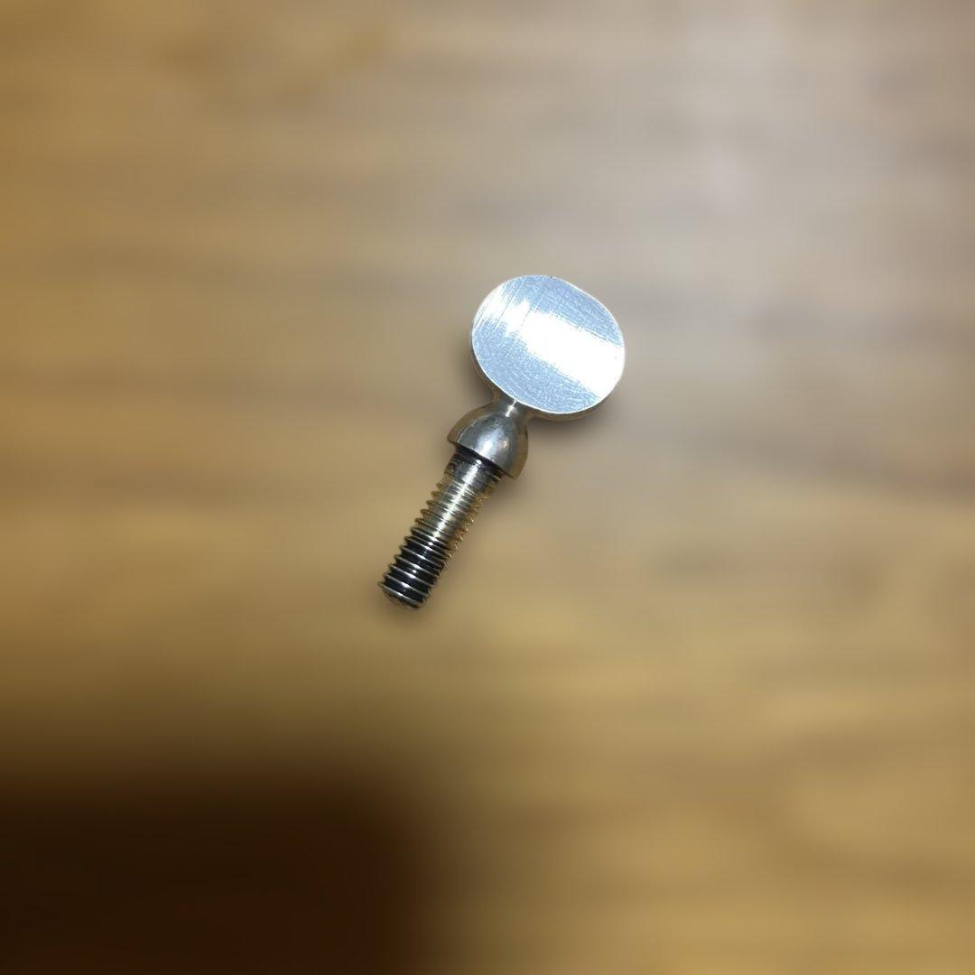 Wood Stone/アルトサックス用スクリュー/Automagic