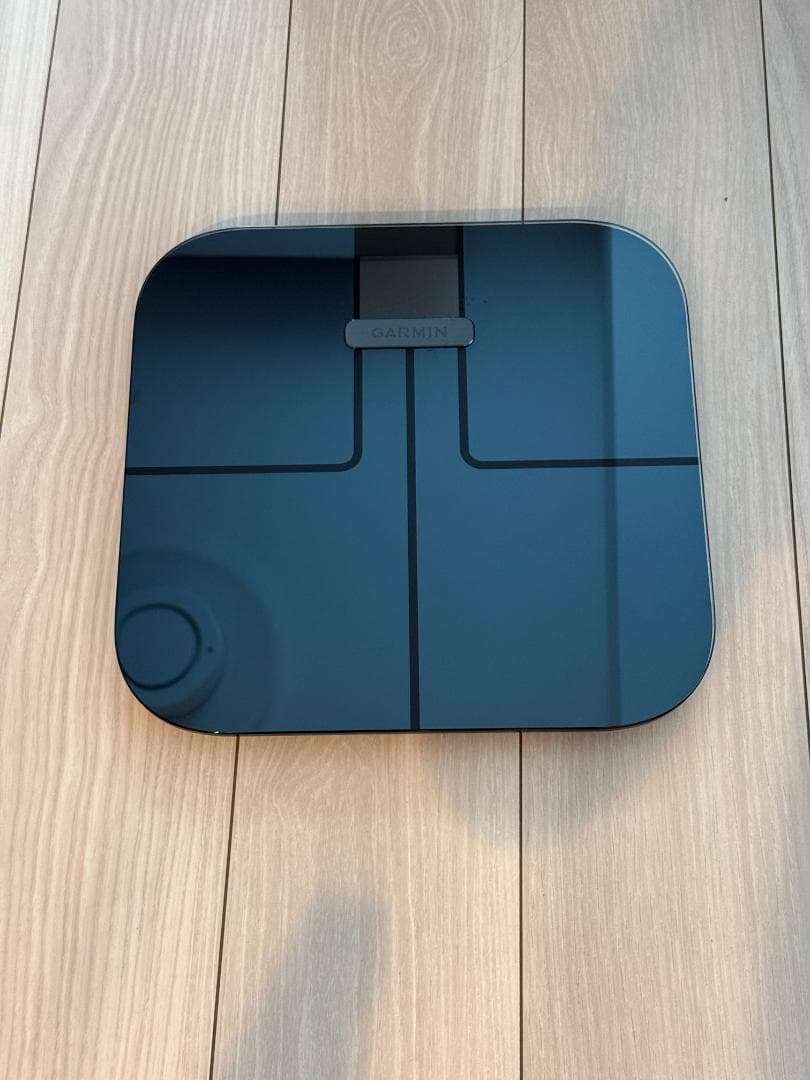 GARMIN Index S2 Black・正常動作・2024年購入