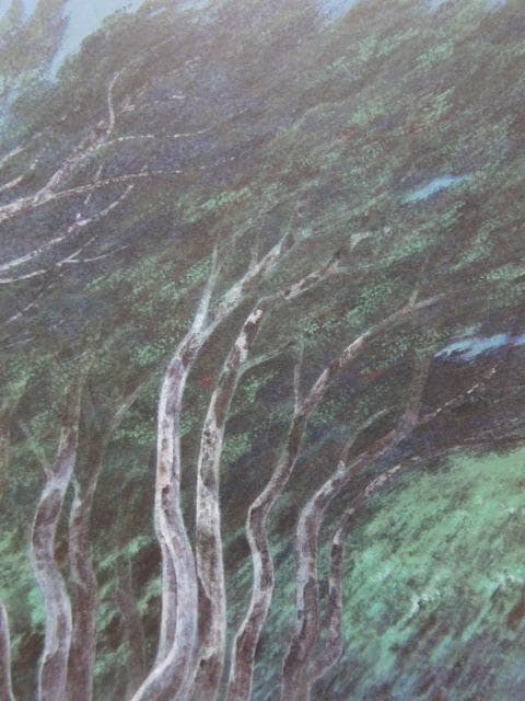 佐々木豊、【木立】、希少な額装用画集画、新品高級額 額装付、状態良好