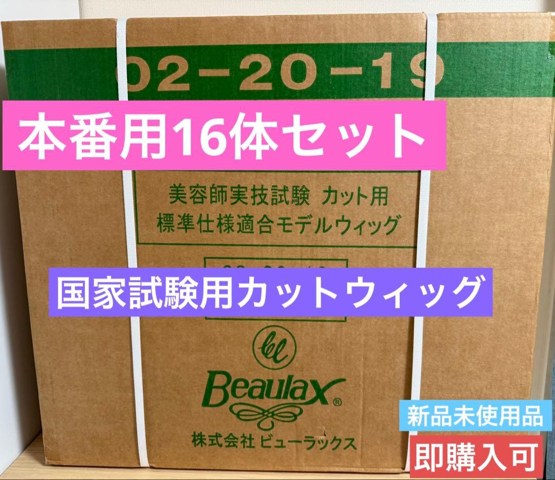 国家試験用カットウィッグ16体
