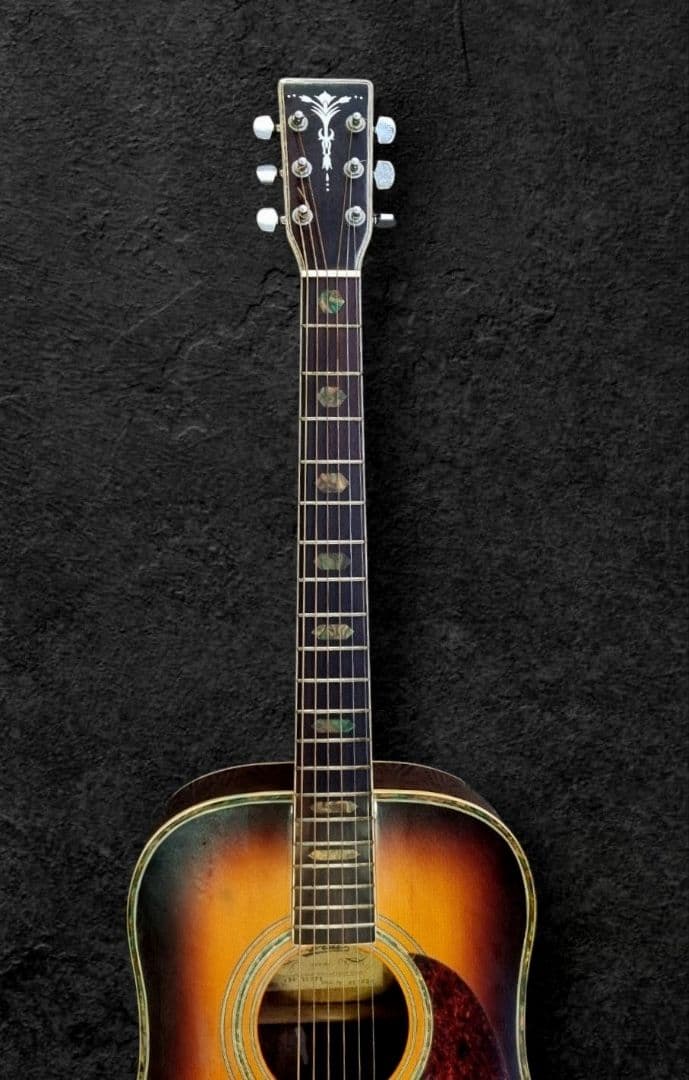 AriaアリアADW-300BSトーチインレイアコースティックギター - メルカリ