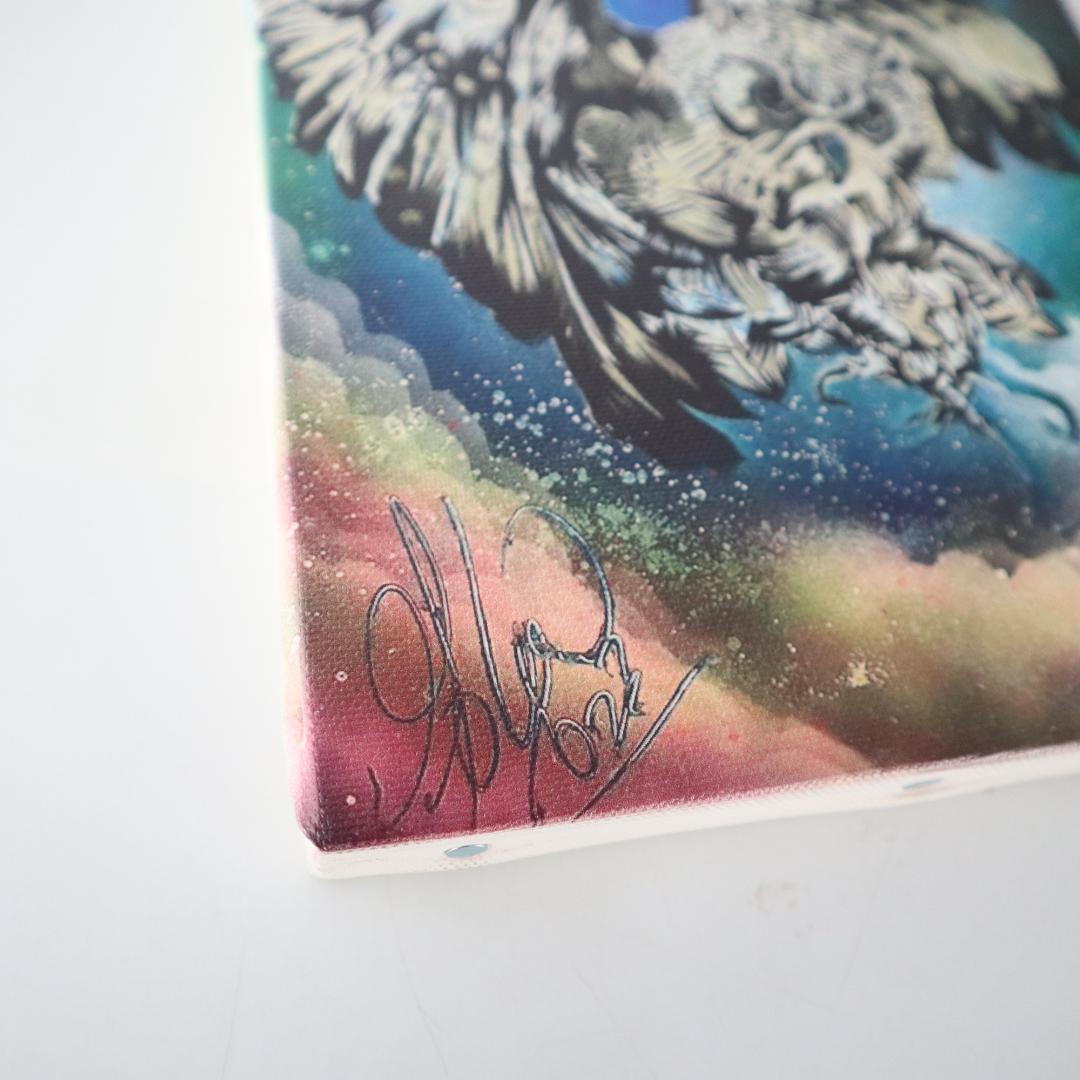 スプレーアートエデン フクロウ SMキャンパス 複製画 - メルカリ