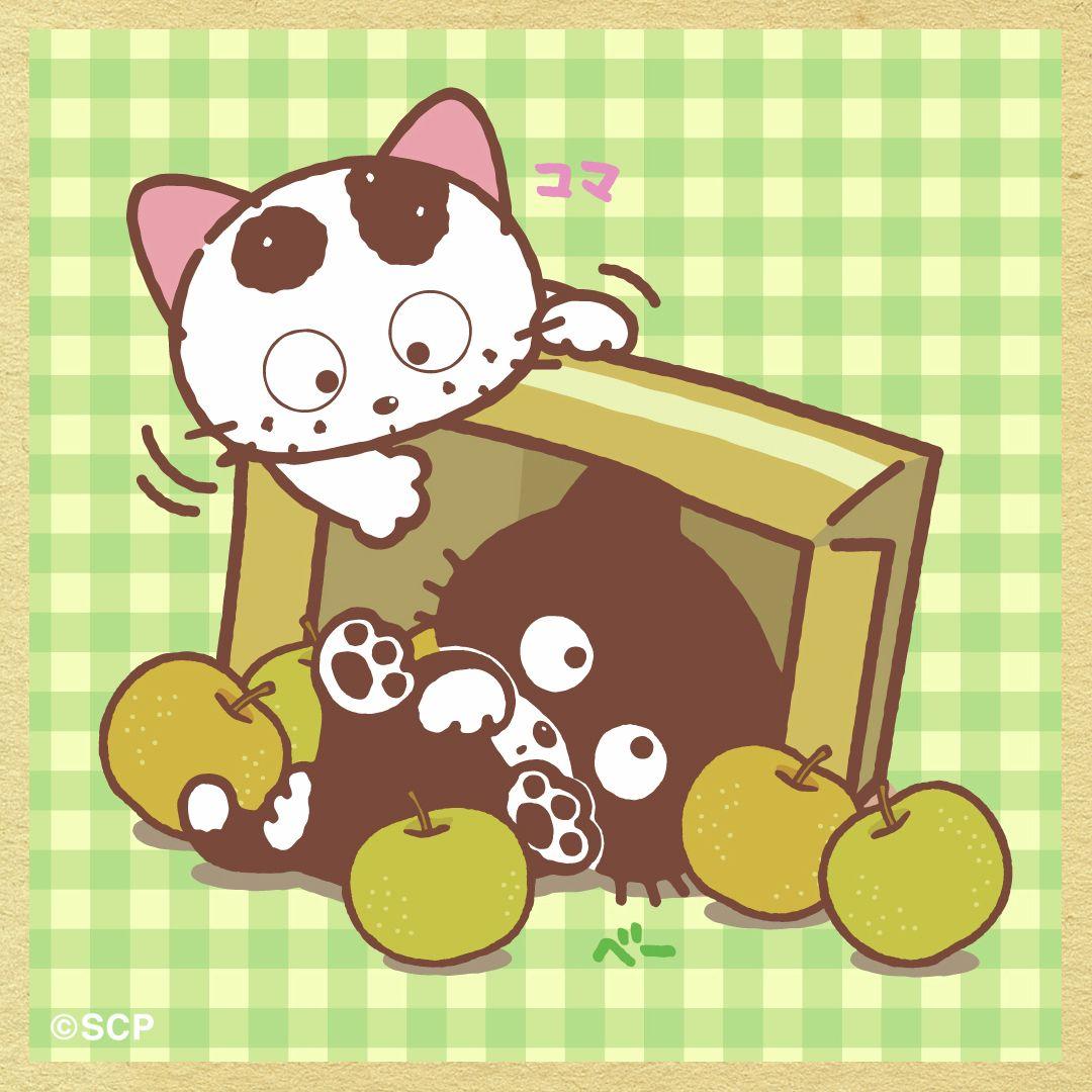 うちのタマしりませんか　正方形6