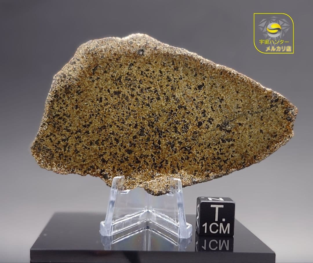 火星隕石　Mars Shergottite NWA 14714 ✨