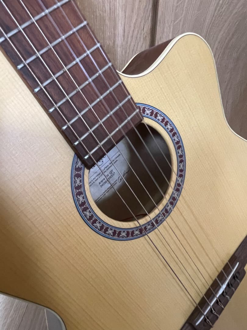 La Patrie Arena CW QIT エレガットギター GODIN製 - メルカリ