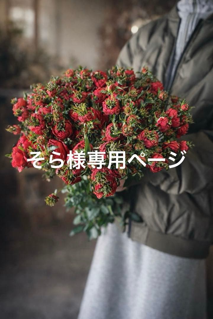 混同注文　スプレーバラクリスタルレッドandラナン