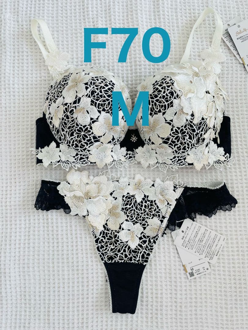 サルート　ブラF70 ソングM 89 KO あさきゆめみし