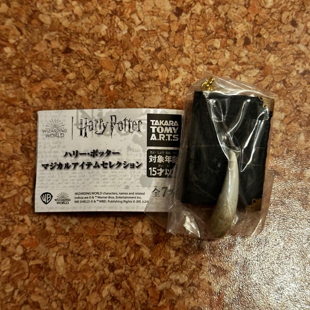 ☆ハリーポッター バジリスクの牙 トムリドルの日記 - メルカリ