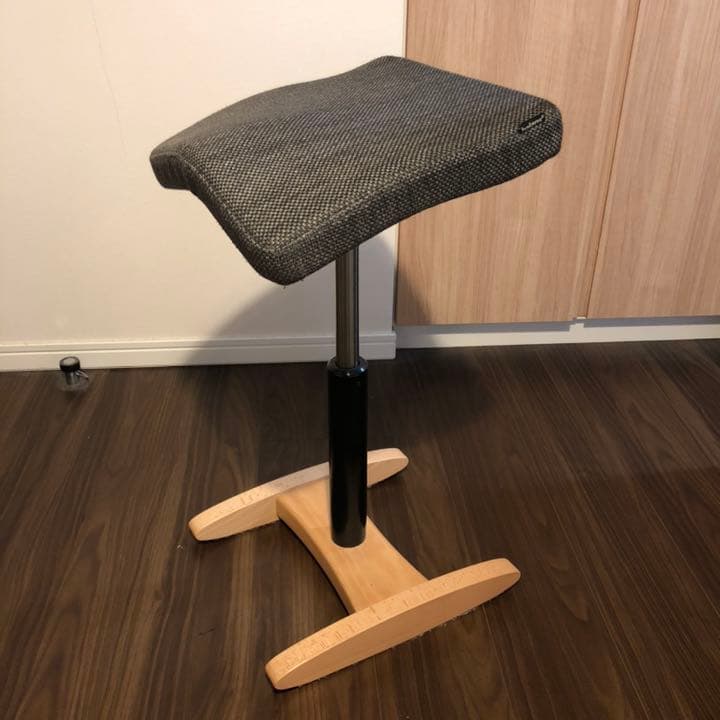 美品】バランスラボ（旧：サカモトハウス）バランスシナジー