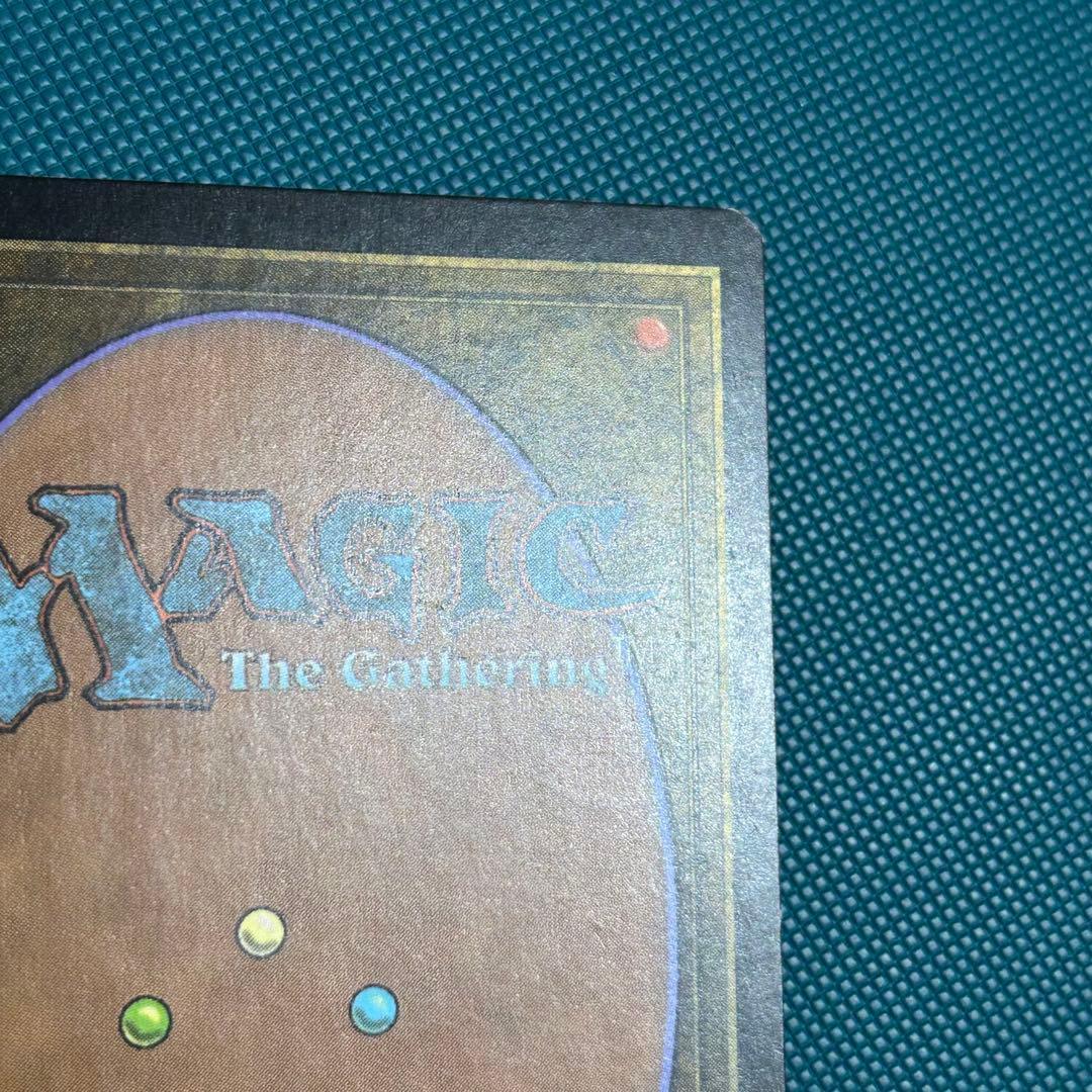 【ジャッジ褒賞Foil】《吹きさらしの荒野/Windswept Heath》英語