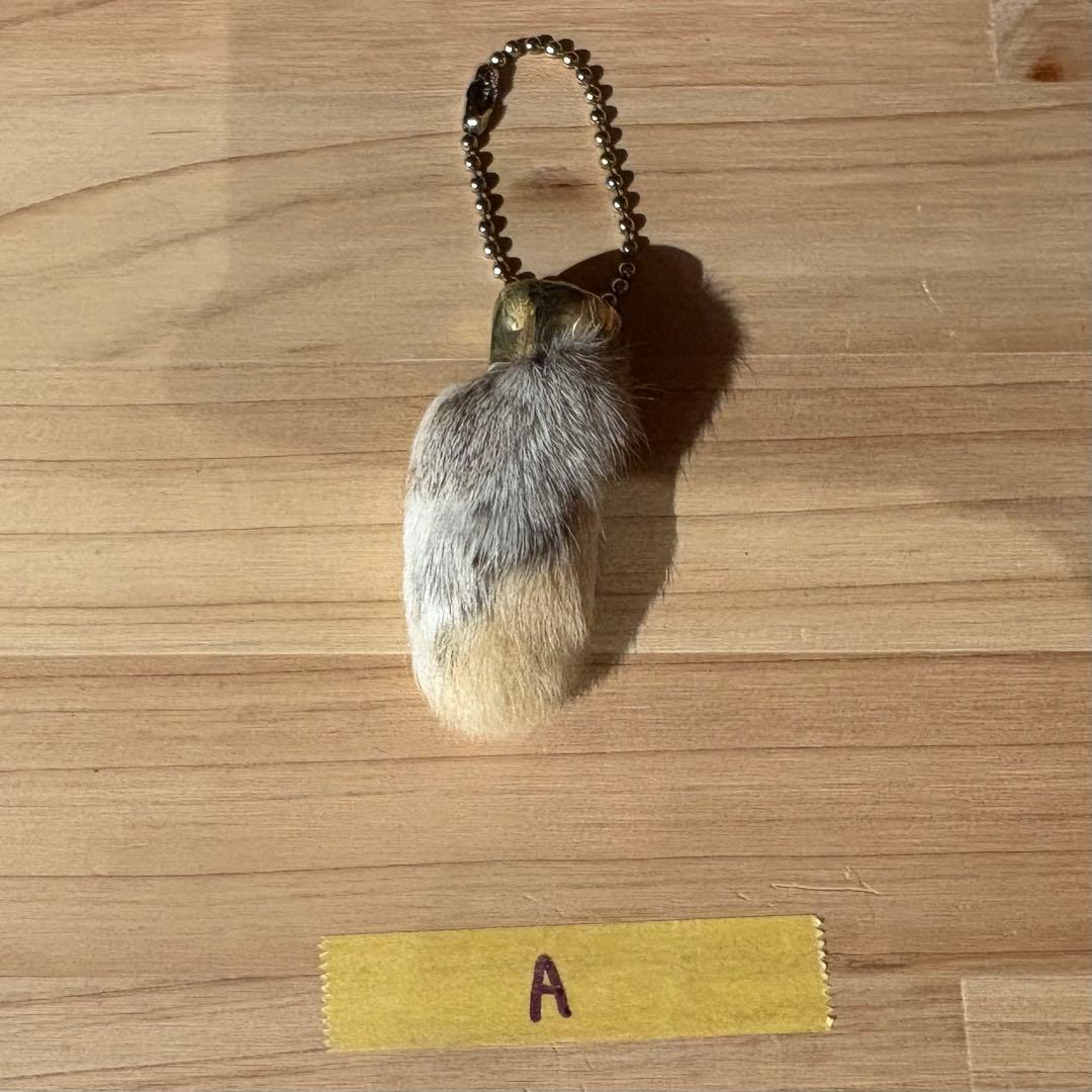 ヴィンテージ ラビットフット キーチェーン　ラッキーチャーム　アメリカ　A