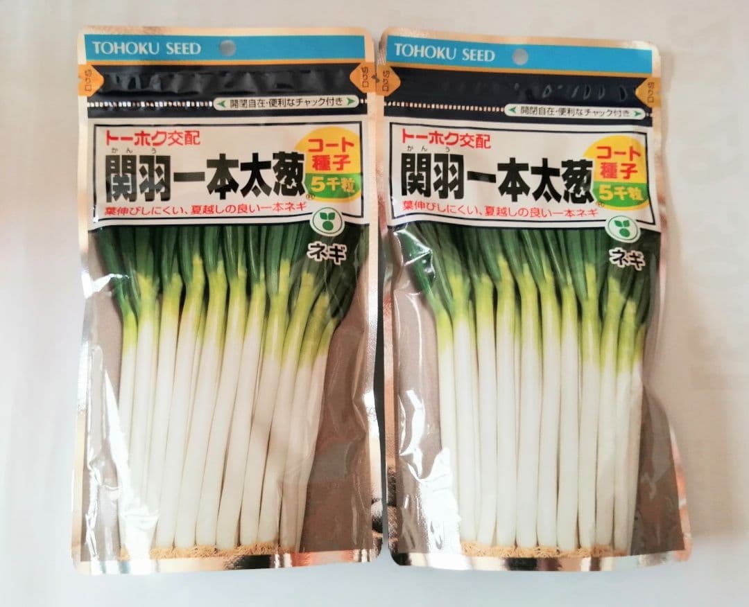 今期物　ネギ種　関羽一本太　ペレット5000粒×2袋セット① トーホク種苗