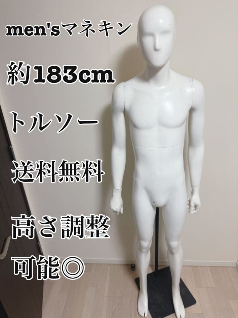 パールイデア　男性　全身トルソー　マネキン　白　高さ調整可能　ディスプレイ 楽天市場】マネキン トルソー ヤング 流行 男性全身 リアルボディ 展示