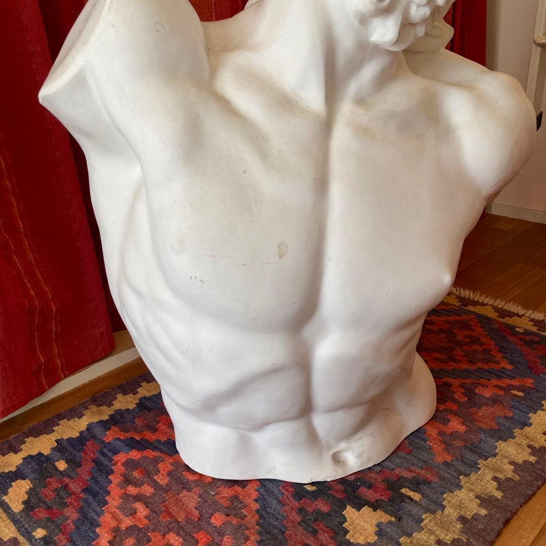 送料込み】ラオコーン像 石膏 胸像 デッサン 美大受験 - メルカリ