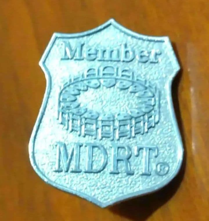 MDRT　バッジ銀色【箱あり２回使用】 ゼンレスゾーンゼロ 陣営 金属バッジ Vol.3 - HAKUTEA