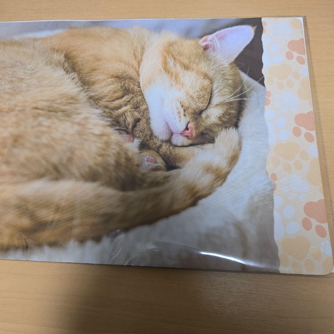 未開封、匿名配送】トレカアイテムくじ 猫これくしょん 2点セット