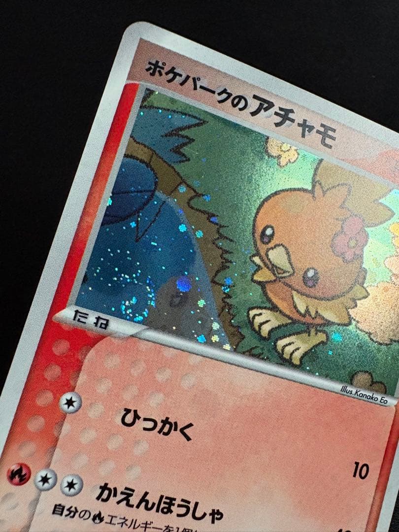 渦巻きホロ】ポケパークのアチャモ ポケパークプレミアムファイル 002