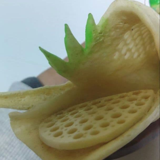 竹と白菜とバッタの彫刻 牛骨製 飛蝗 置物 中国美術 ミ10