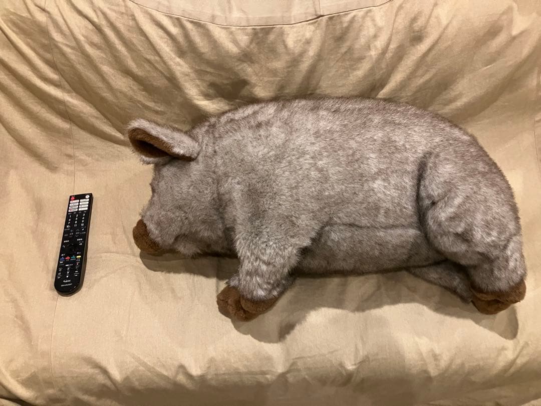 トイザらス 豚 ブタ ぬいぐるみ animal alley ビッグサイズ 等身大