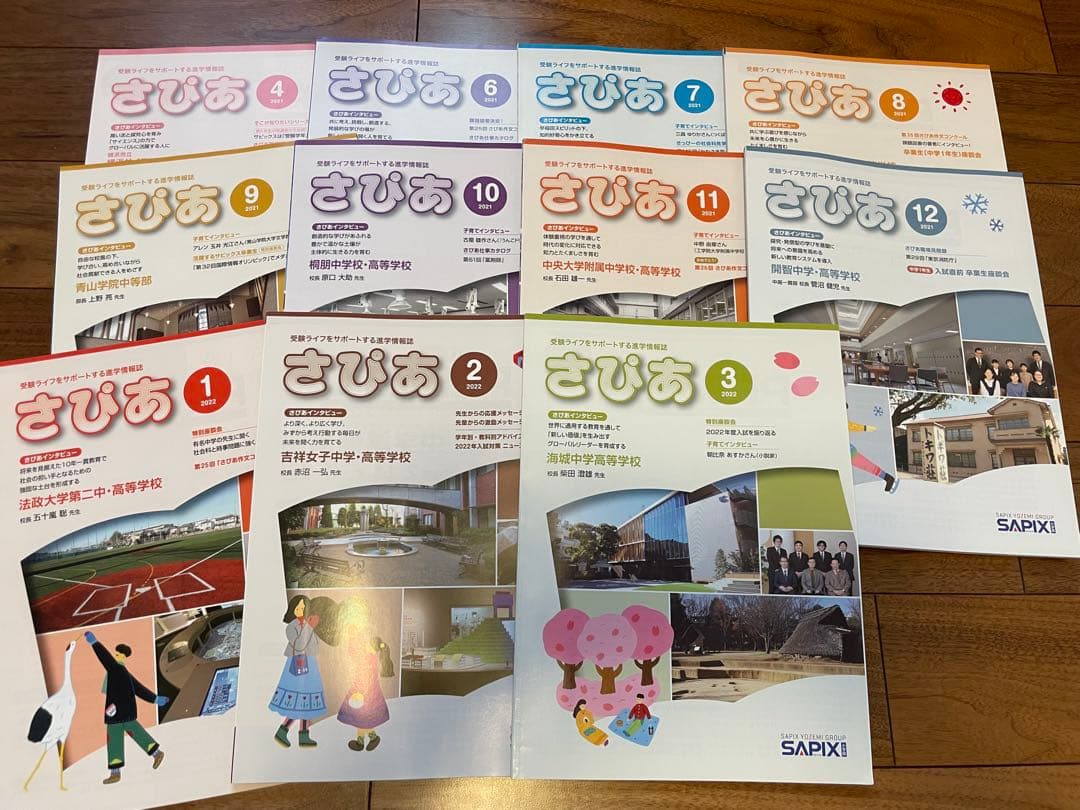 えり様専用 【未記入】サピックス ピグマ 2年生 通信 - メルカリ