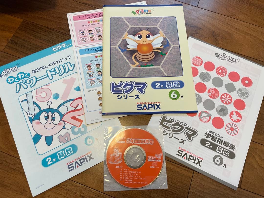 えり様専用 【未記入】サピックス ピグマ 2年生 通信 - メルカリ