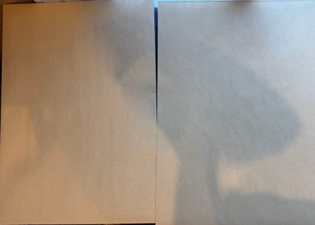 ヴァンパイア騎士　原画展　下絵2枚　原画　直筆 ヴァンパイア騎士 原画展 直筆「原稿下絵」プレゼントキャンペーン