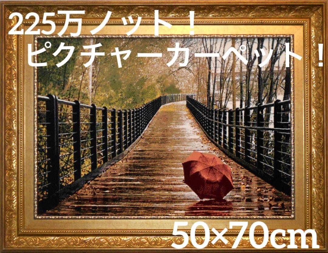 225万ノット！ピクチャーカーペット 額縁付き！50×70cm -190401