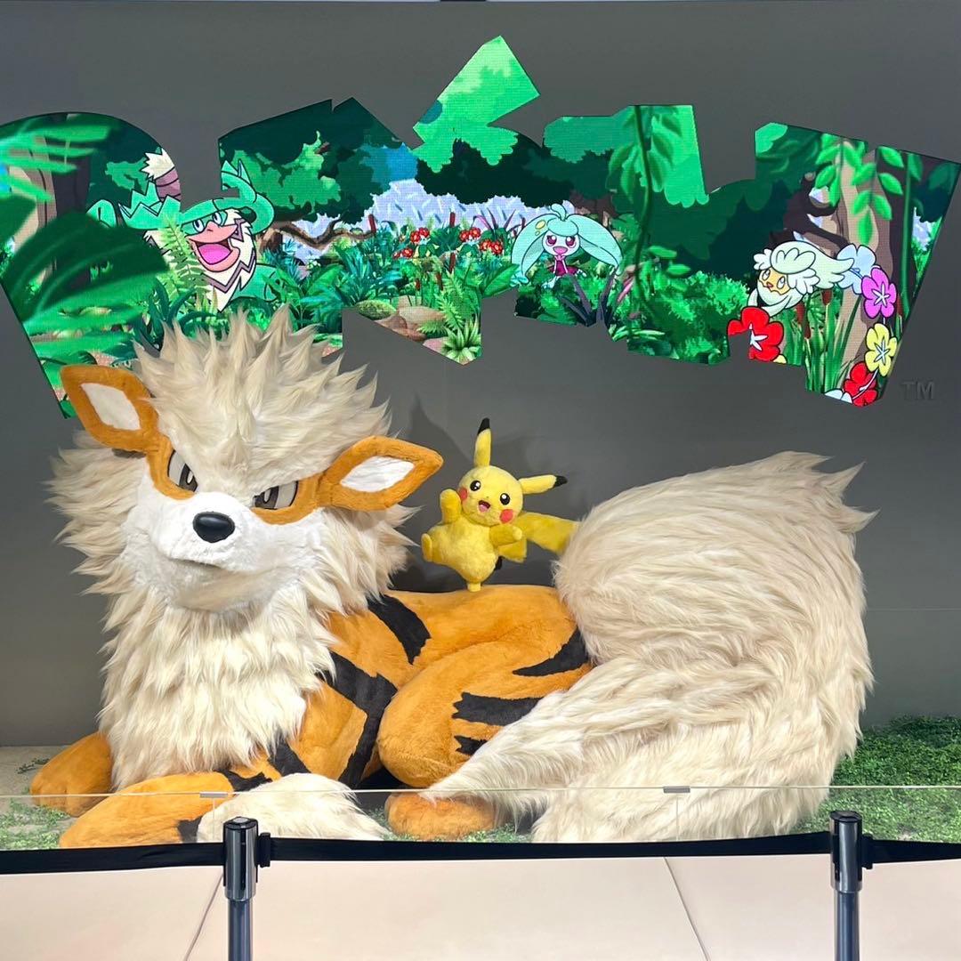 レア‼️ポケモンセンターオキナワ限定 オープン1周年記念品 ウィンディ