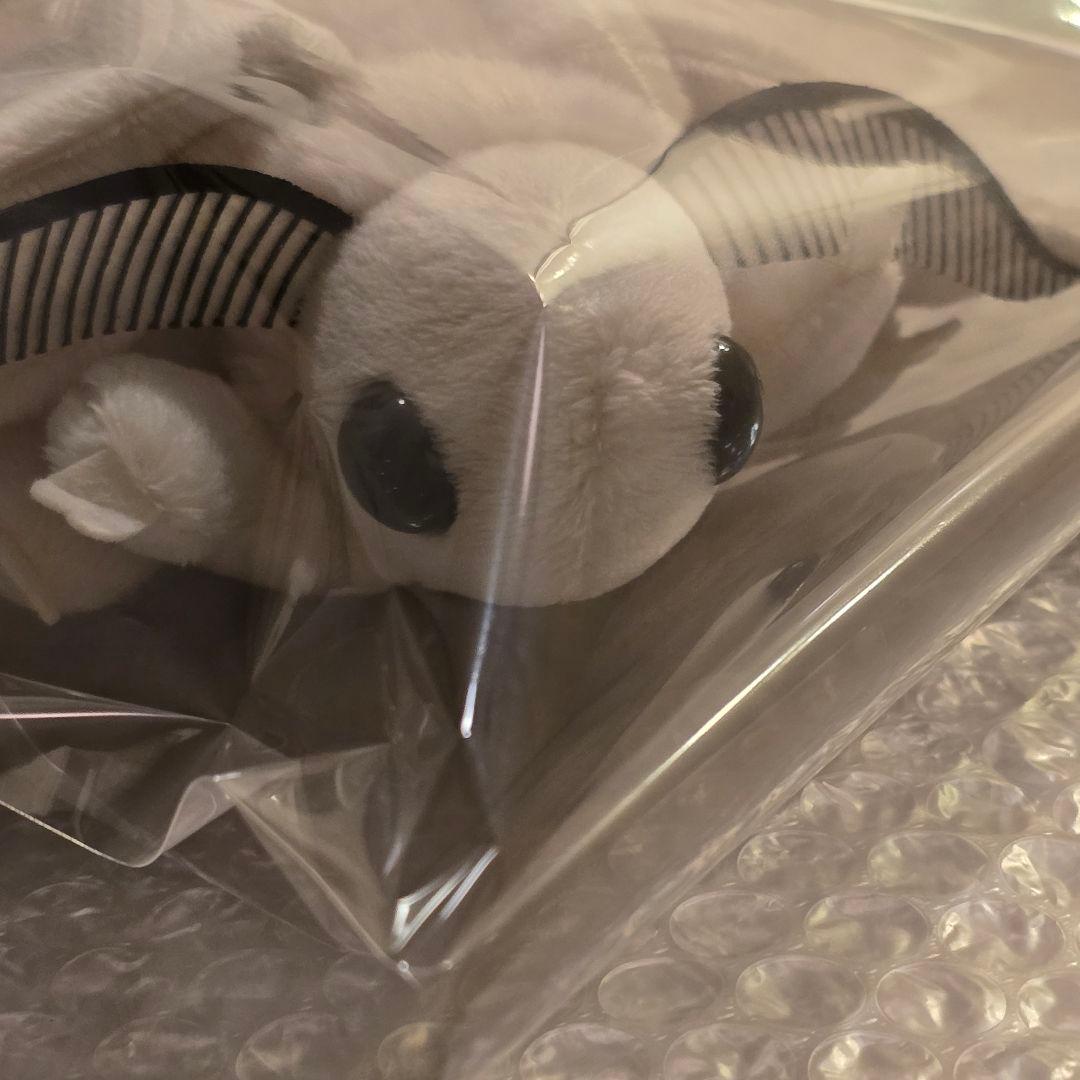 ハ*ル様 昆虫MANIAC カイコガ カイコ 蚕蛾 モス ぬいぐるみ 昆虫マニア