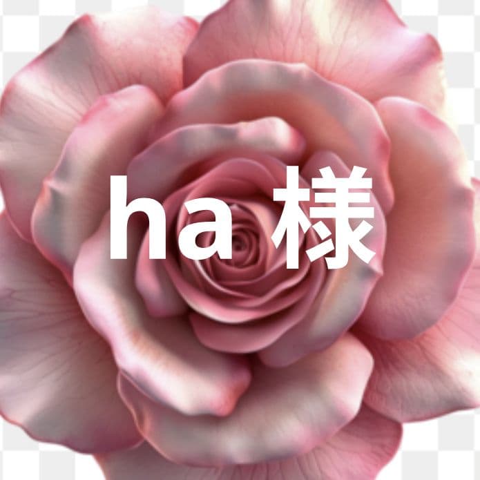 ha でございます　モアサナイト モアサナイト ピアス 1ct スタッドピアス 0.5ct ×2 一粒 両耳用