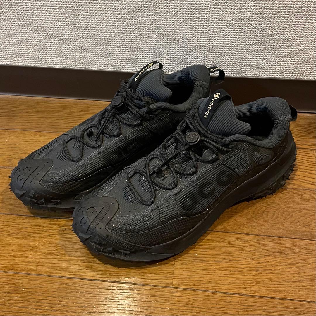 COYG ナイキ ACG マウンテン フライ 2 ロー GTX ゴアテック