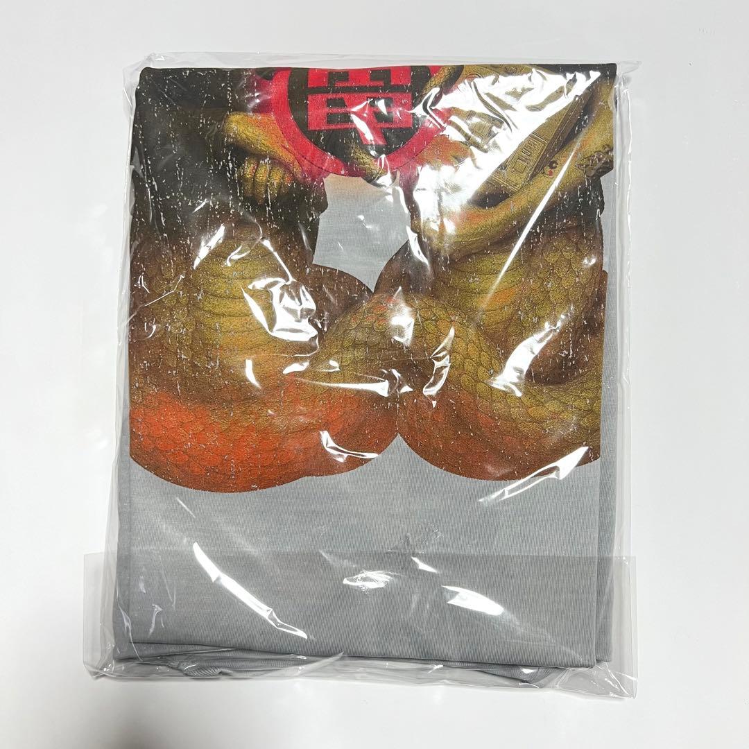 電気グルーヴ へびツアー 2025 へびンテージ Tシャツ XL - メルカリ