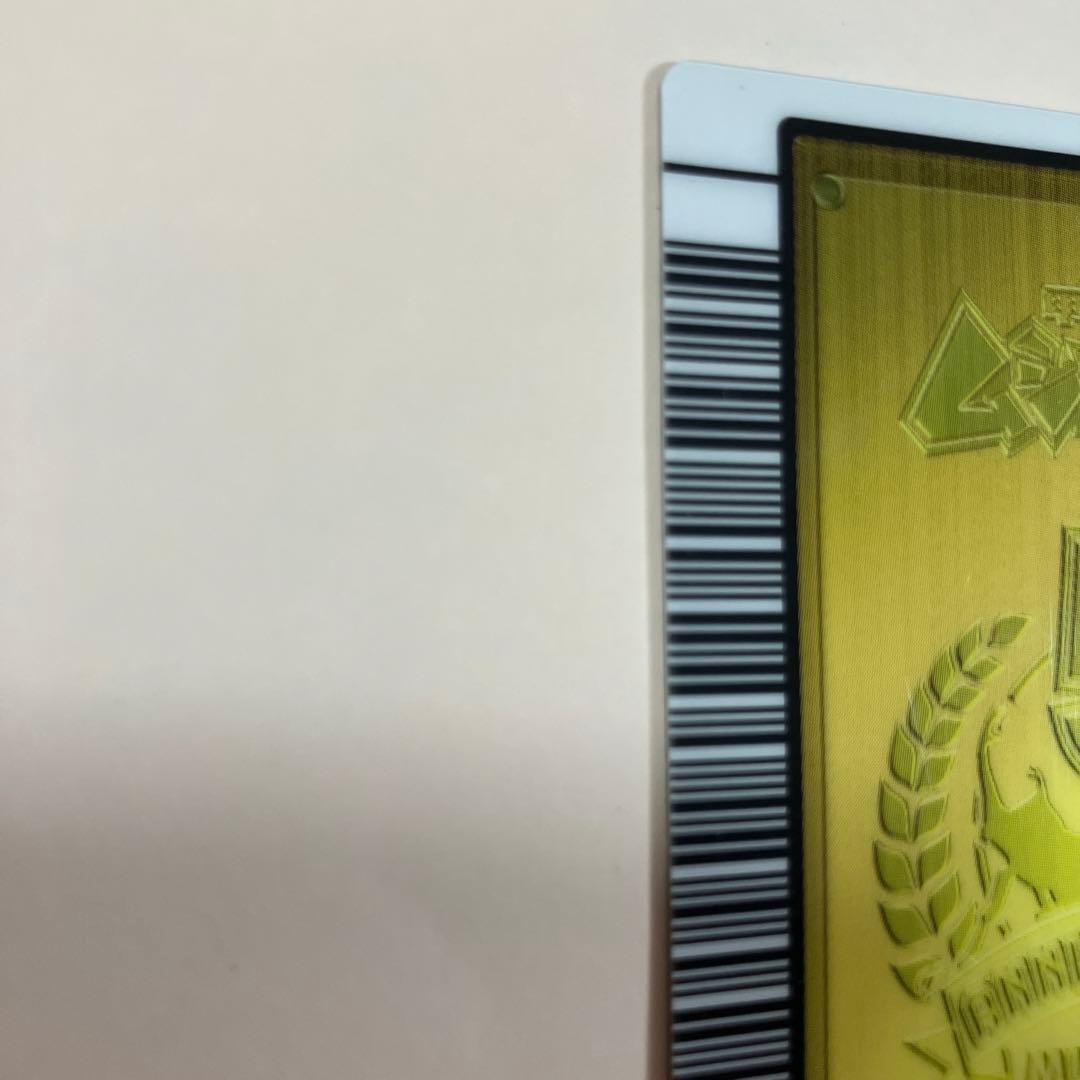 アクティオンゾウカブト 5周年記念 ハードコーティング - メルカリ